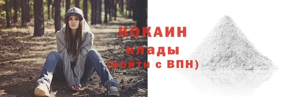 прущий лед Арсеньев