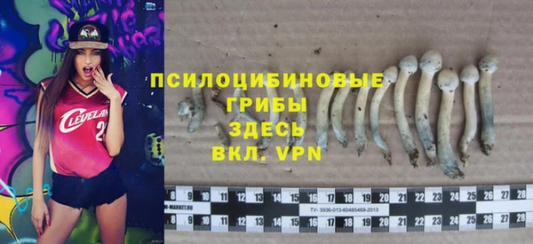 мяу мяу мука Армянск