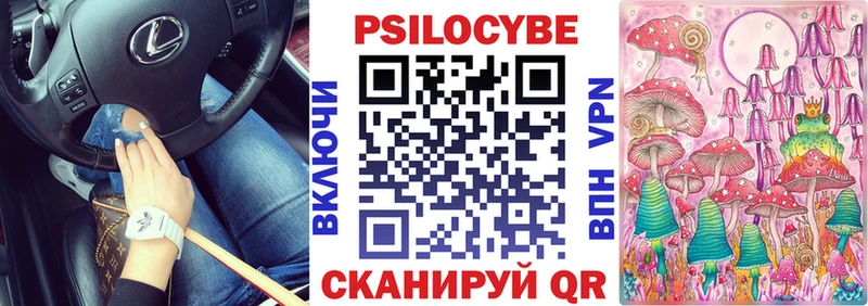 Псилоцибиновые грибы Psilocybine cubensis  Купить  Нюрба 